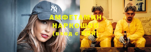 спиды Ельня