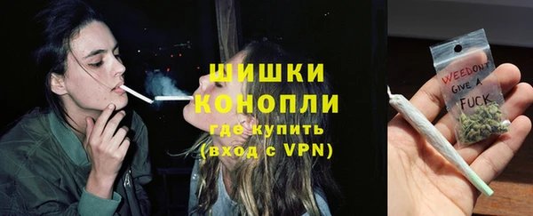 спиды Ельня