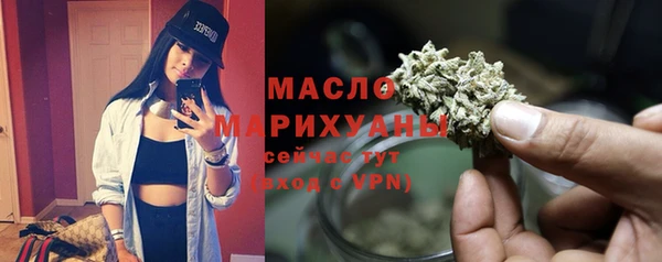 спиды Ельня