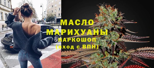 спиды Ельня