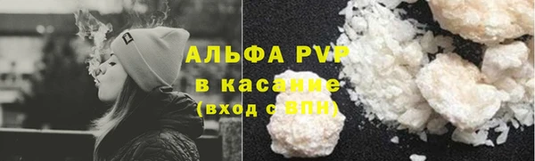 спиды Ельня