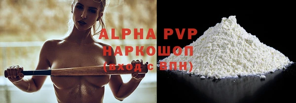 спиды Ельня