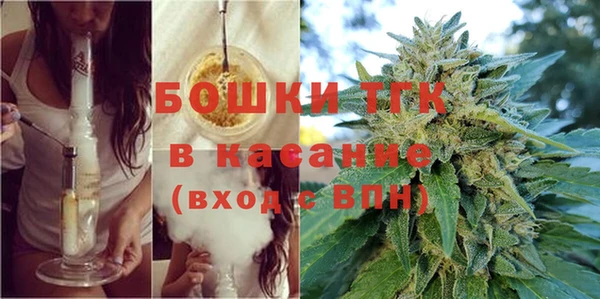 спиды Ельня