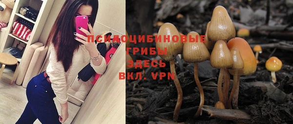 спиды Ельня
