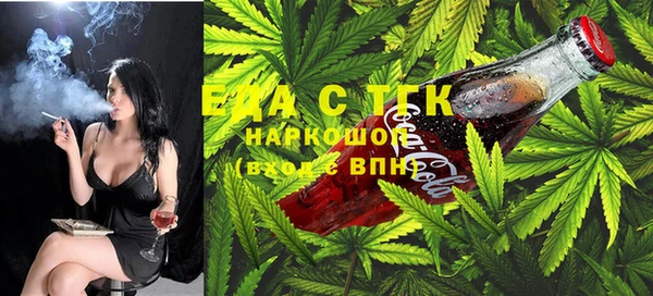 спиды Ельня