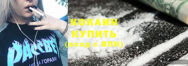 спиды Ельня
